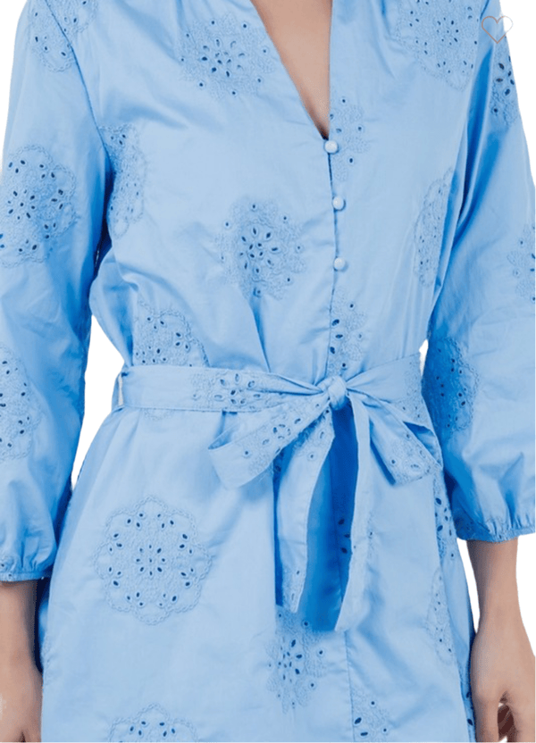 Baby blue long sleeve embroidered dress